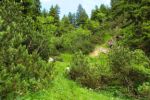2014-07-05_Laengental-N-Hochweg (597). JPG